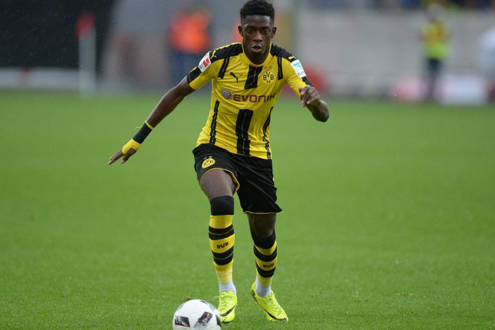 己的消费决 己的消费决